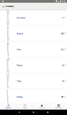 AO/OTA Fracture Classification android App screenshot 9