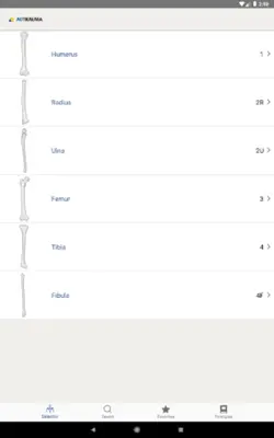 AO/OTA Fracture Classification android App screenshot 4